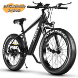 Professional Electric Bike For Adults