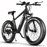 Professional Electric Bike For Adults