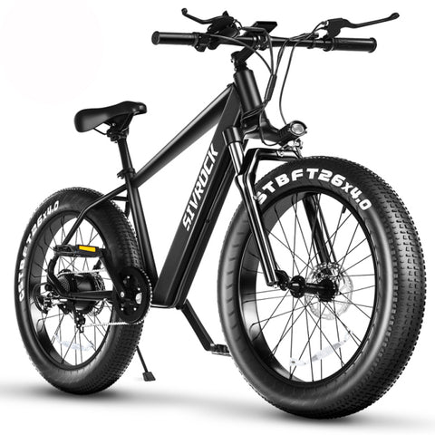 Professional Electric Bike For Adults